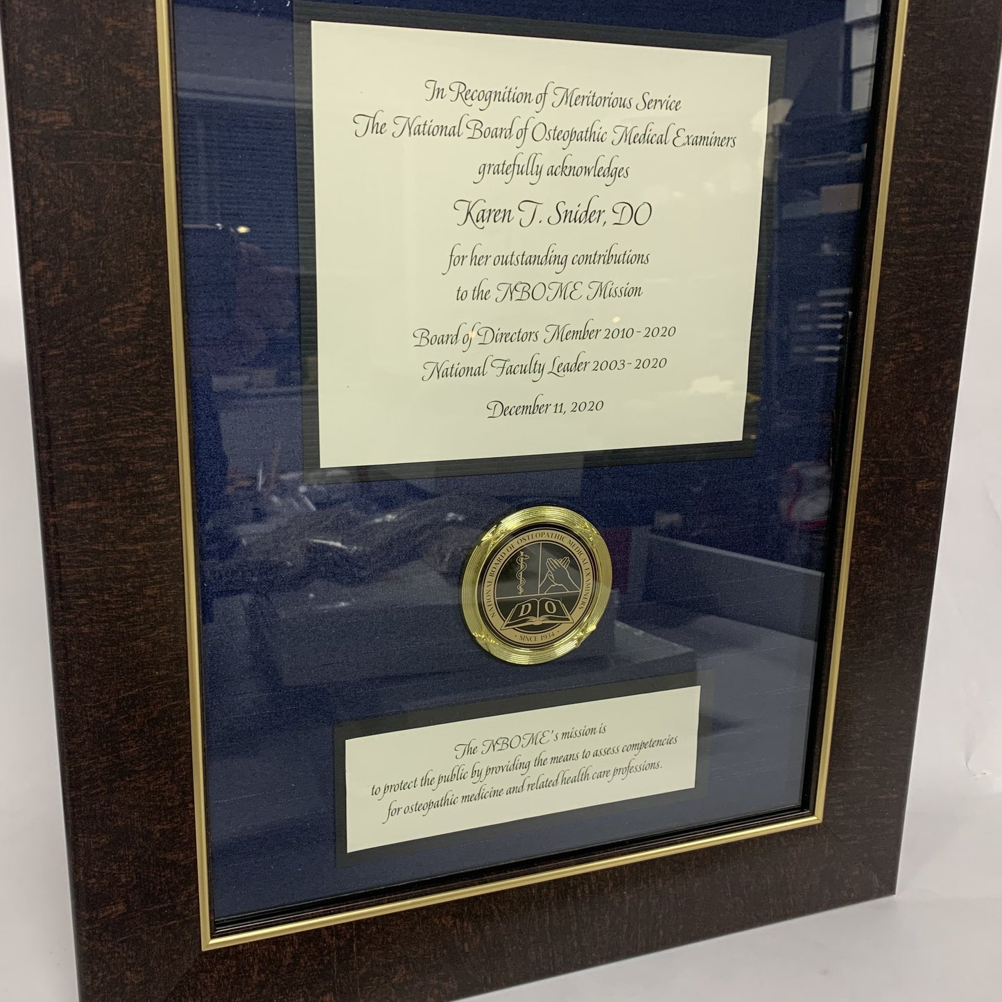 Suggestions for Bespoke Awards for NBOME | Awards Framed in Gold & Silver Leaf and Black & Brown Wood