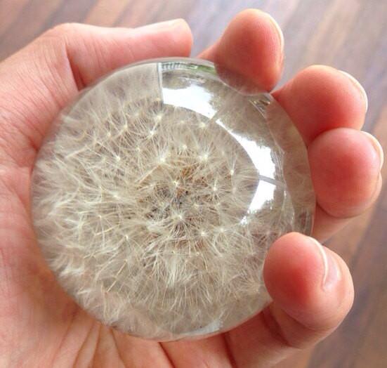Paperweight Sphere with Dandelion | Round Glass Paperweight | Engraved | Handmade in USA