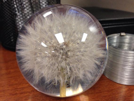 Paperweight Sphere with Dandelion | Round Glass Paperweight | Engraved | Handmade in USA