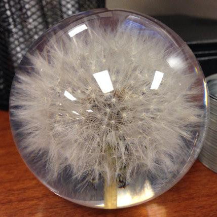 Paperweight Sphere with Dandelion | Round Glass Paperweight | Engraved | Handmade in USA
