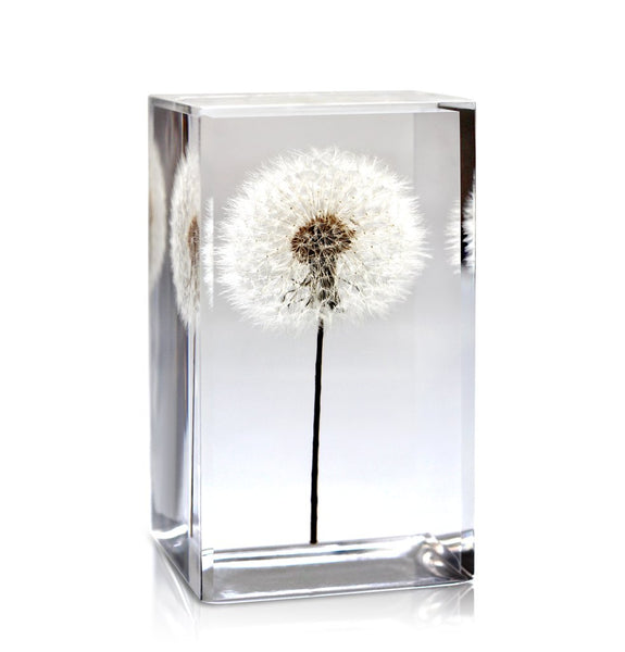 Paperweight Custom with Dandelion | Square Glass Paperweight | Engraved | Handmade in USA