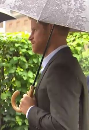 The Harry Umbrella | A Gentleman's Royal Umbrella | Malacca Handle Tube Umbrella used by Prince Harry | Matches with The Meghan Umbrella | Dark Grey Canopy | Made in England | Sterling and Burke-Gent's Umbrella-Sterling-and-Burke