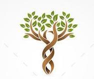 Tree Logos for Wedding Invitation | Wedding Motif | Tree Branches Design for Engraved Stationery-Graphic Art-Sterling-and-Burke