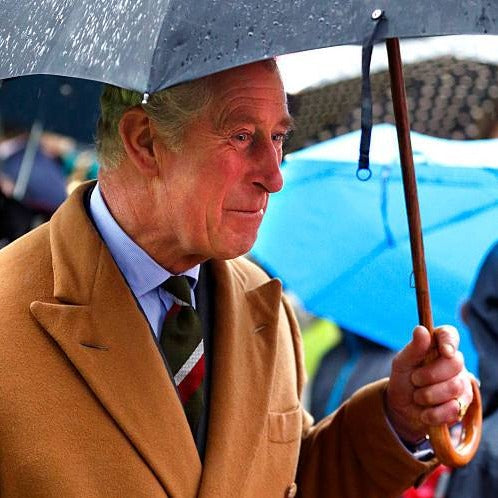 Fox Umbrellas | Malacca Prince of Wales Umbrella with Tartan Canopy | Sterling Nose Cap and Collar | The Original Prince of Wales Umbrella
