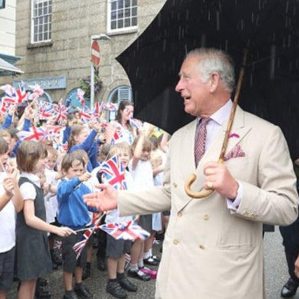 Fox Umbrellas | Malacca Prince of Wales Umbrella with Tartan Canopy | Sterling Nose Cap and Collar | The Original Prince of Wales Umbrella