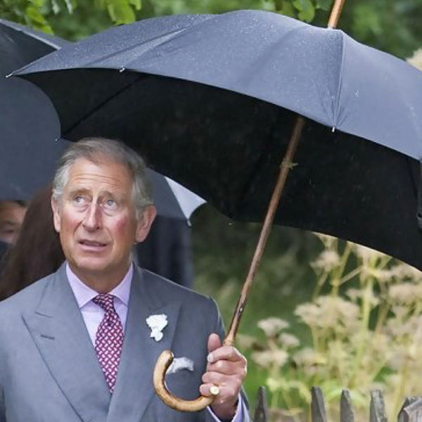Fox Umbrellas | Malacca Prince of Wales Umbrella with Tartan Canopy | Sterling Nose Cap and Collar | The Original Prince of Wales Umbrella