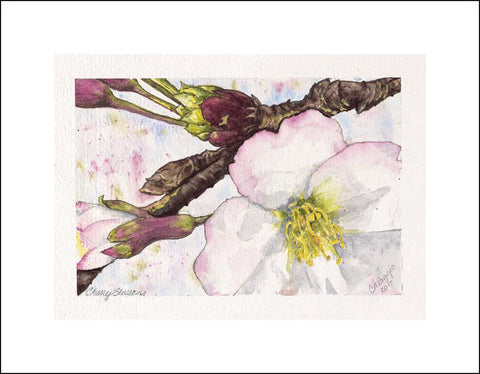 Cherry Blossoms | Limited Edition Giclee Print by Carole Moore Biggio | 5" x 7"-Giclee Print-Sterling-and-Burke