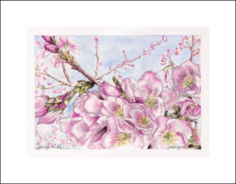 Spring in DC | Limited Edition Giclee Print | Carole Moore Biggio | 5 by 7 Inches-Giclee Print-Sterling-and-Burke