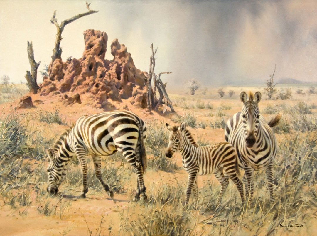 Antique Oil Painting | Zebra, Tsavo Rain by Donald Grant | 36" x 46"-Oil Painting-Sterling-and-Burke