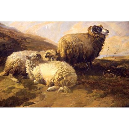 Antique Oil Painting | Highland Sheep by Thomas Sidney Cooper | 27" x 30.5"-Oil Painting-Sterling-and-Burke