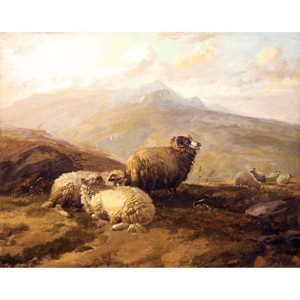 Antique Oil Painting | Highland Sheep by Thomas Sidney Cooper | 27" x 30.5"-Oil Painting-Sterling-and-Burke